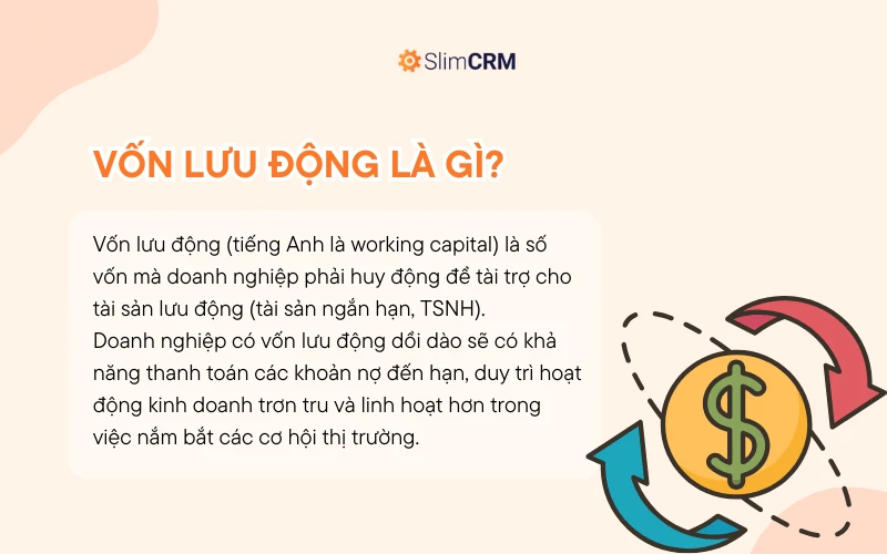 Vốn lưu động là gì và tầm quan trọng trong kinh doanh