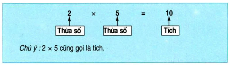 Tích là gì và tầm quan trọng trong toán học