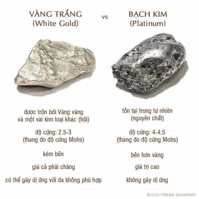 Bạch kim là gì và ứng dụng trong đời sống