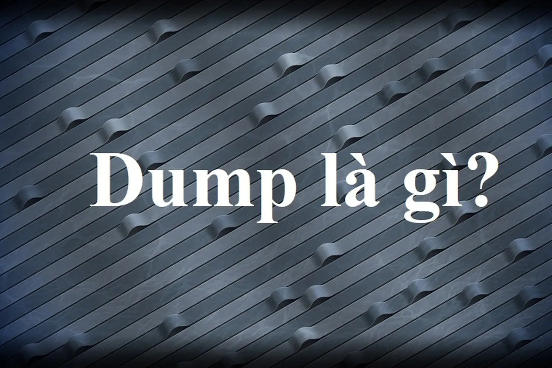 Tìm hiểu dump là gì và ý nghĩa thực sự của nó
