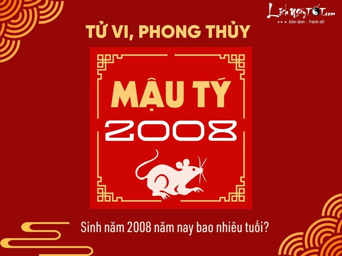 Người sinh năm 2008 năm 2024 sẽ bao nhiêu tuổi
