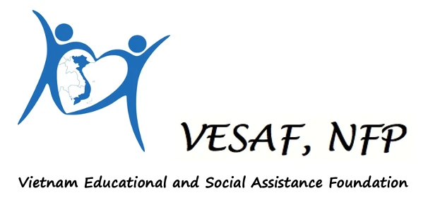 Tìm hiểu về quỹ đầu tư cổ phiếu mở vesaf