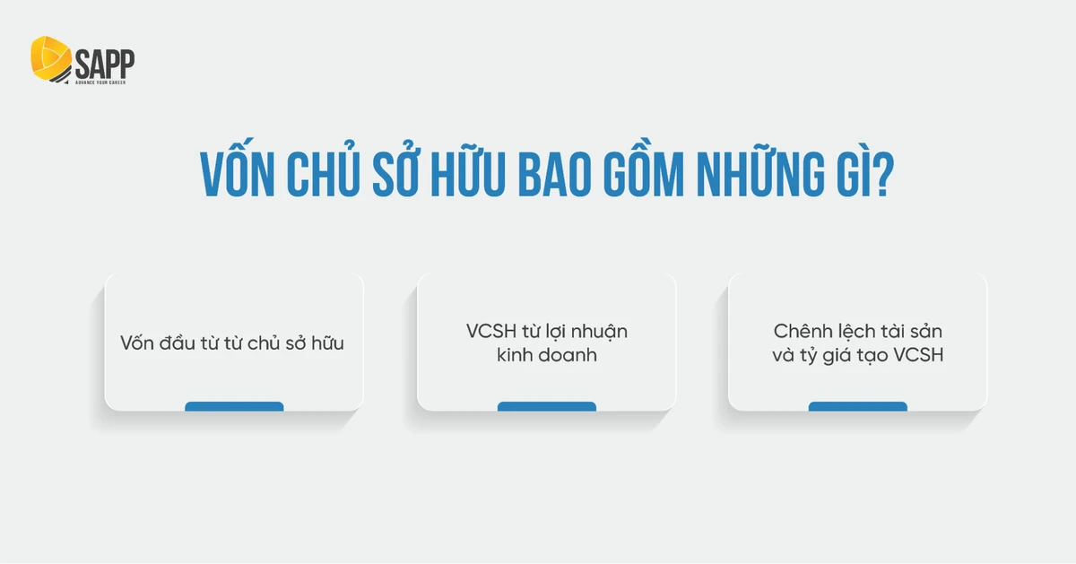 Vốn chủ sở hữu là gì và vai trò của nó trong doanh nghiệp