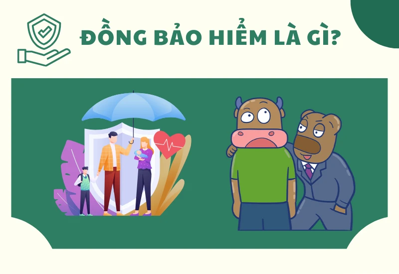 Đồng bảo hiểm là gì và lợi ích trong ngành bảo hiểm